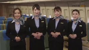 Hãng hàng không thiên đường tri ân khách hàng thân thiết Hãng hàng không thiên đường tri ân khách hàng thân thiết